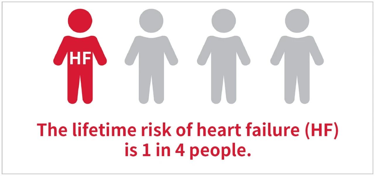 新品上市 | 心衰诊断双保障——聚焦心衰精准诊断，BC贷从未止步！